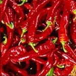 Pepper ‘Jimmy Nardello’