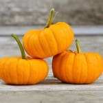 Pumpkin ‘Jack Be Little’