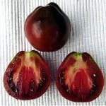 Tomato ‘Japanese Black Trifele’