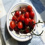 Tomato ‘ Large Red Cherry’