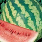 Watermelon ‘Crimson Sweet’