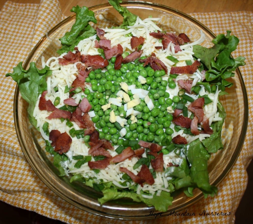 Pea Salad 1