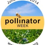 Pollinator Week June 16-22, 2014