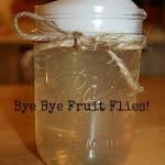 Homemade Natural Fruit Fly Trap