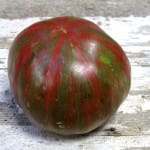 Tomato ‘Berkeley Tie Dye’