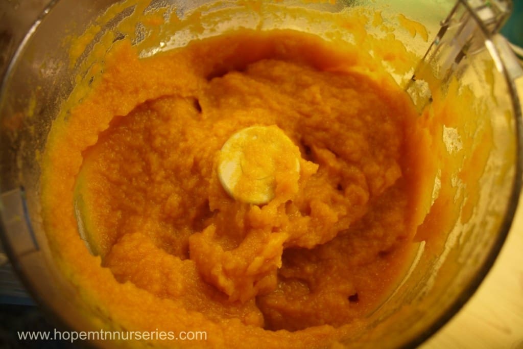 pumpkin puree