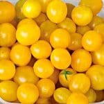 Tomato ‘Blondkopfchen’