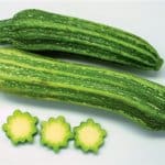 Squash, Costata Romanesco’