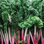 Swiss Chard ‘Peppermint’